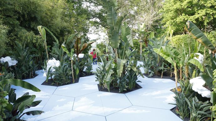 Jardin Tous les strélizias vont au paradis.©E. Sander